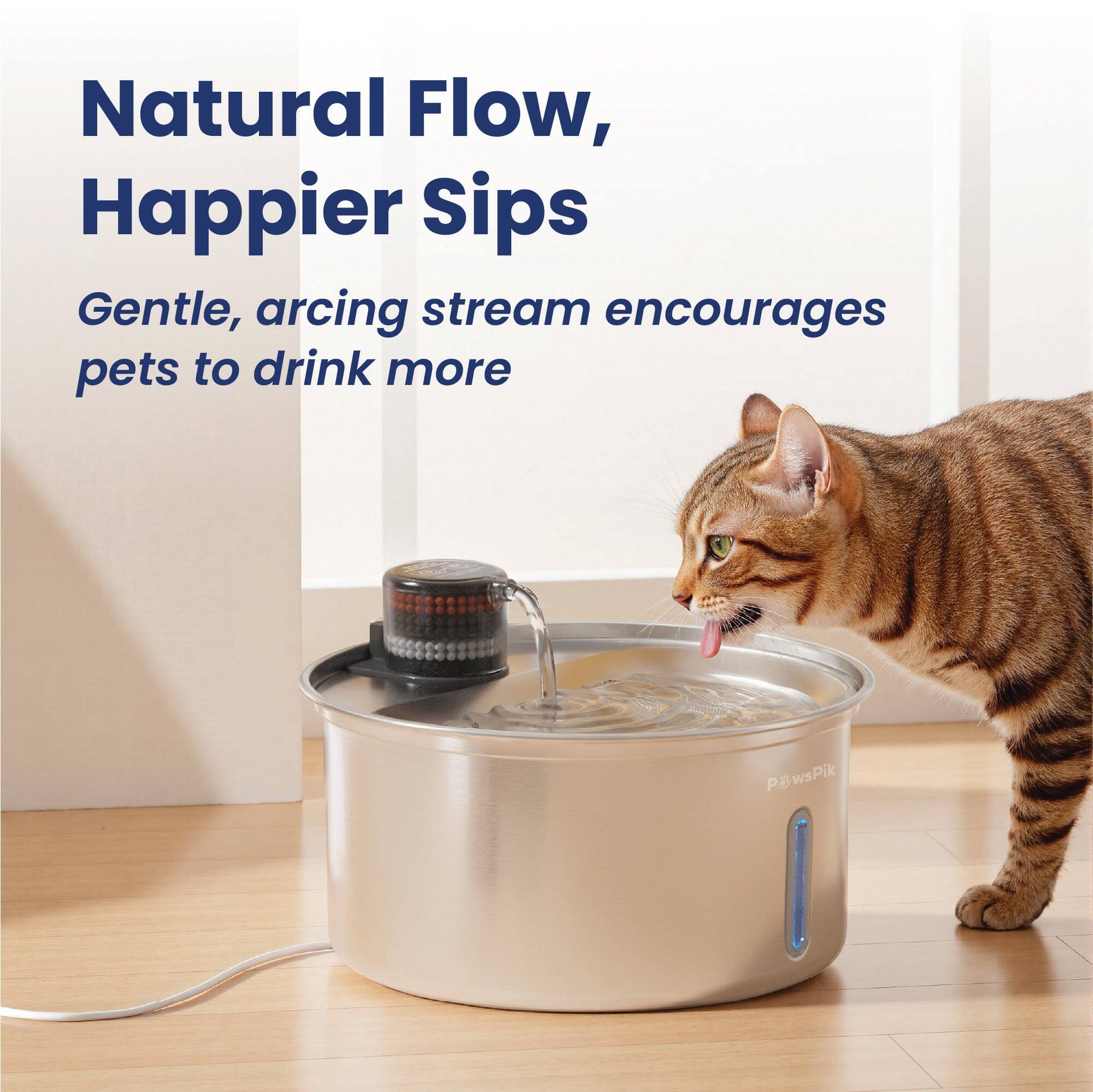 Natural Flow, Happier Sips  
Gentle, arcing stream encourages pets to drink more  
PawsPik