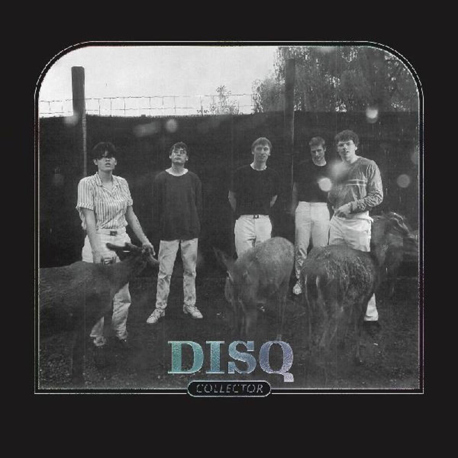 DISQ COLLECTOR