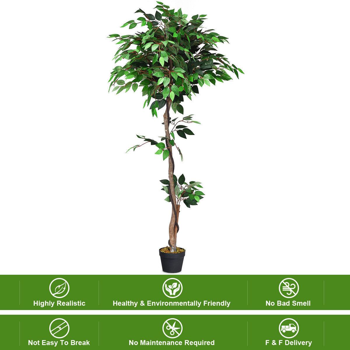 Highly Realistic  
Healthy & Environmentally Friendly  
No Bad Smell  
Not Easy To Break  
No Maintenance Required  
F & F Delivery