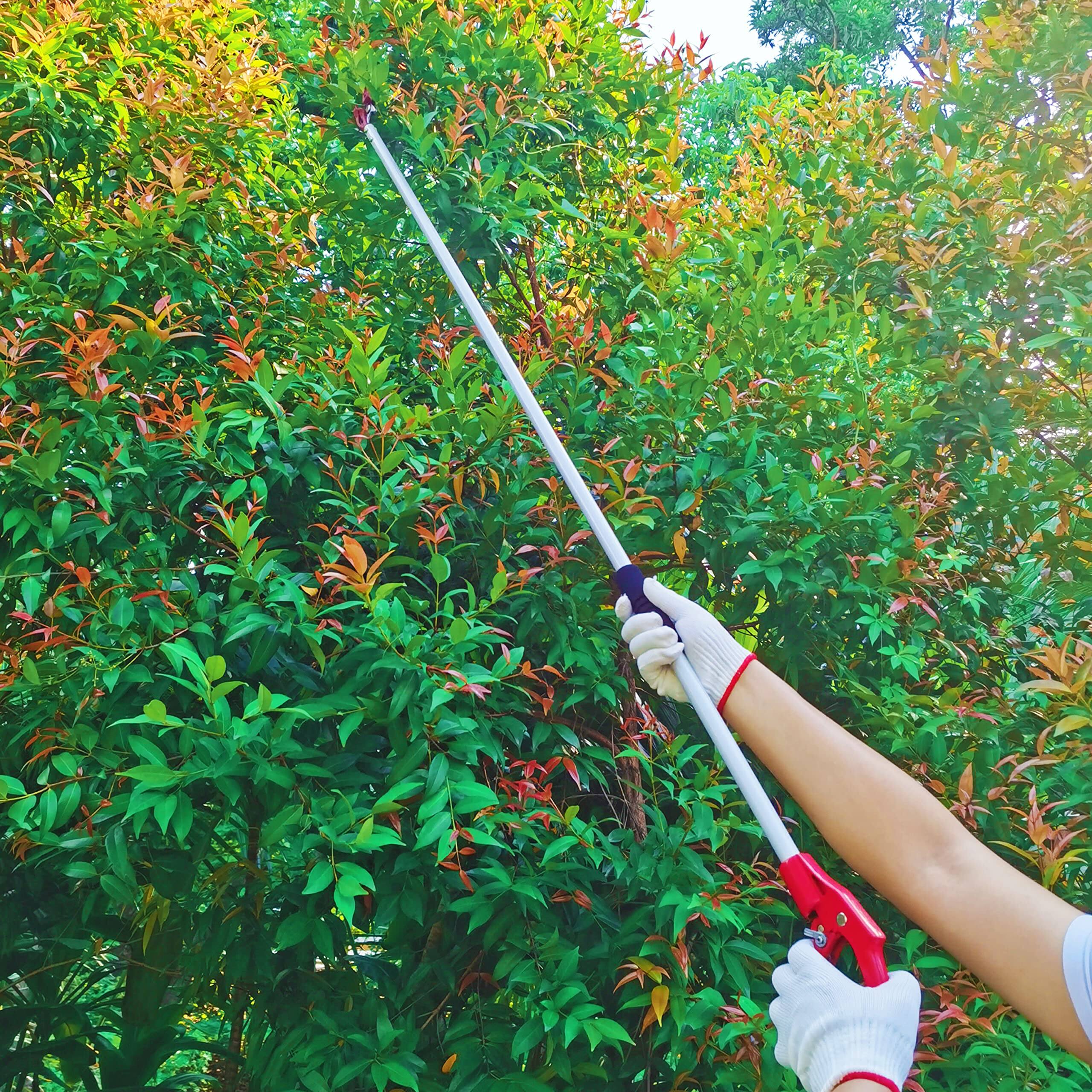 Alt View 3. JETRANSPORT - Tree Trimmer  4 Foot Pole Pruner Long Reach Pruning Shears Cut And Hold Garden Clippers Aluminum Lightweight H - Default.