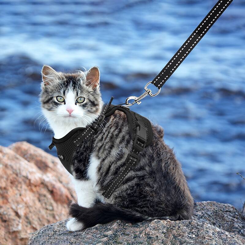 Alt View 1. Supet - Cat Harness & Leash - Black.