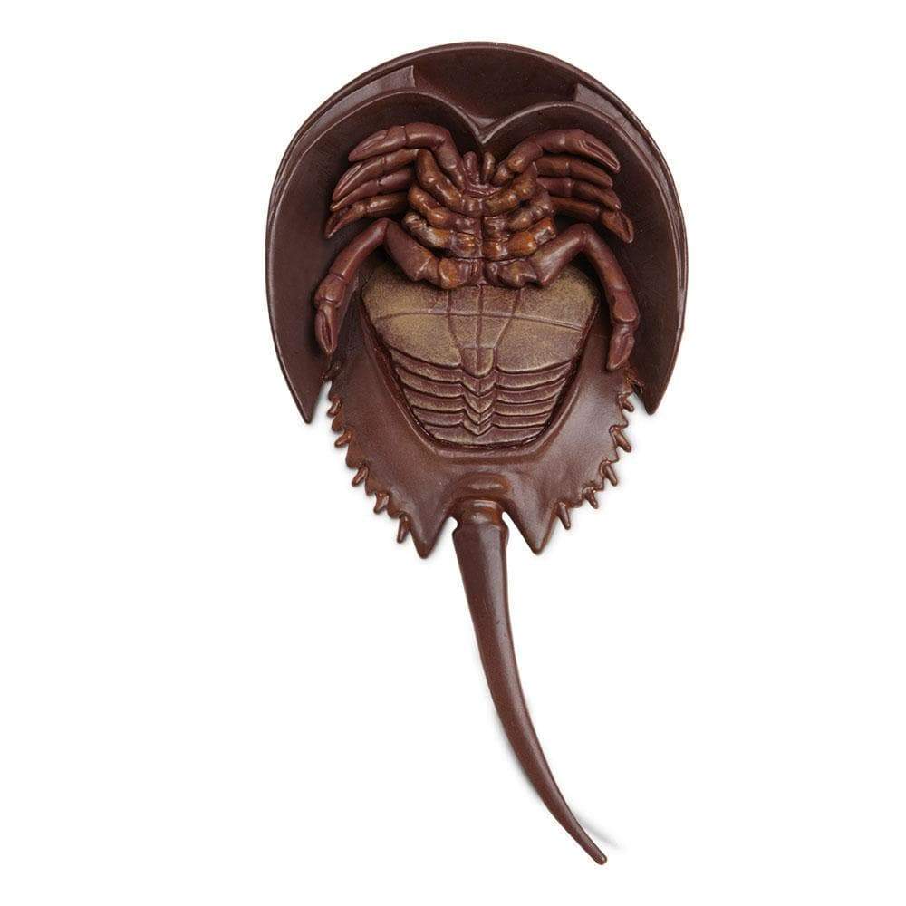 Back. Safari Ltd. - Horseshoe Crab Toy Figurine.