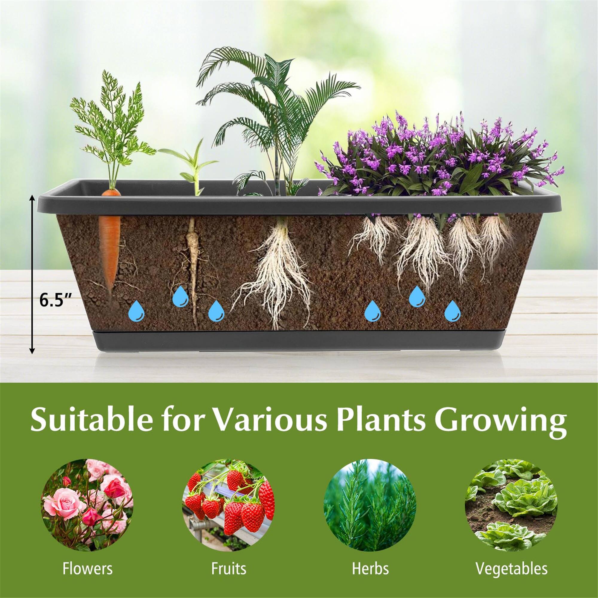 6.5"  
Suitable for Various Plants Growing  
Flowers  
Fruits  
Herbs  
Vegetables