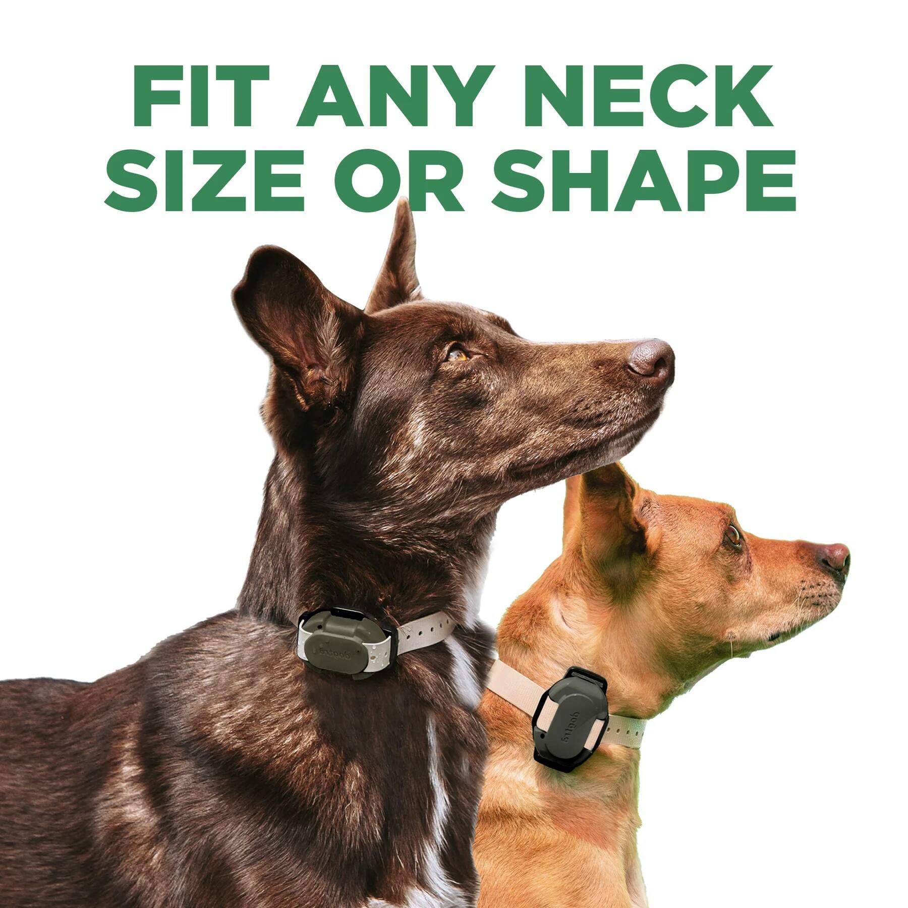FIT ANY NECK SIZE OR SHAPE