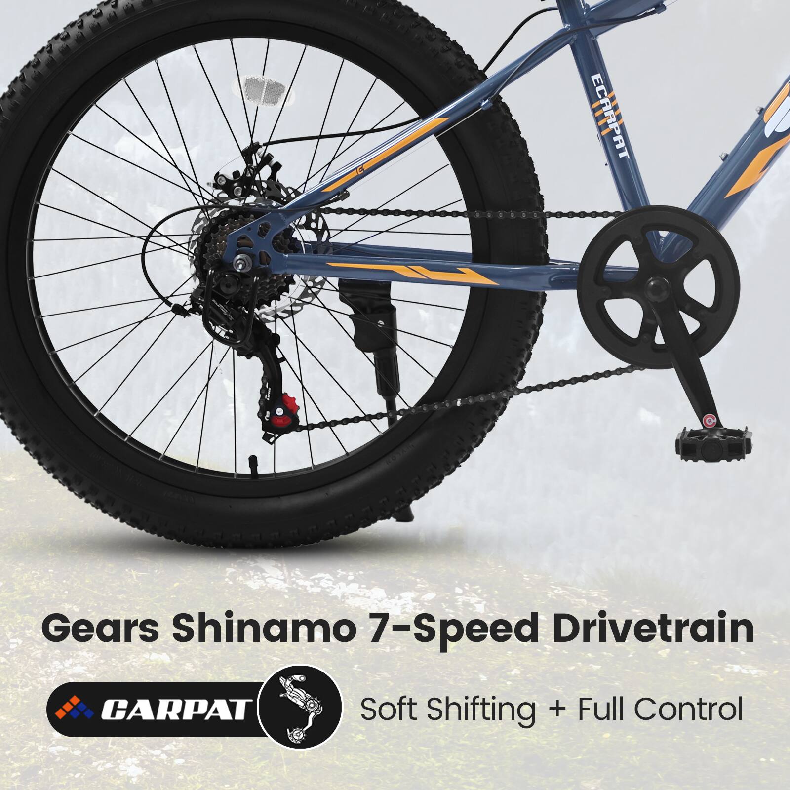 Gears Shinamo 7-Speed Drivetrain  
CARPAT  
Soft Shifting + Full Control