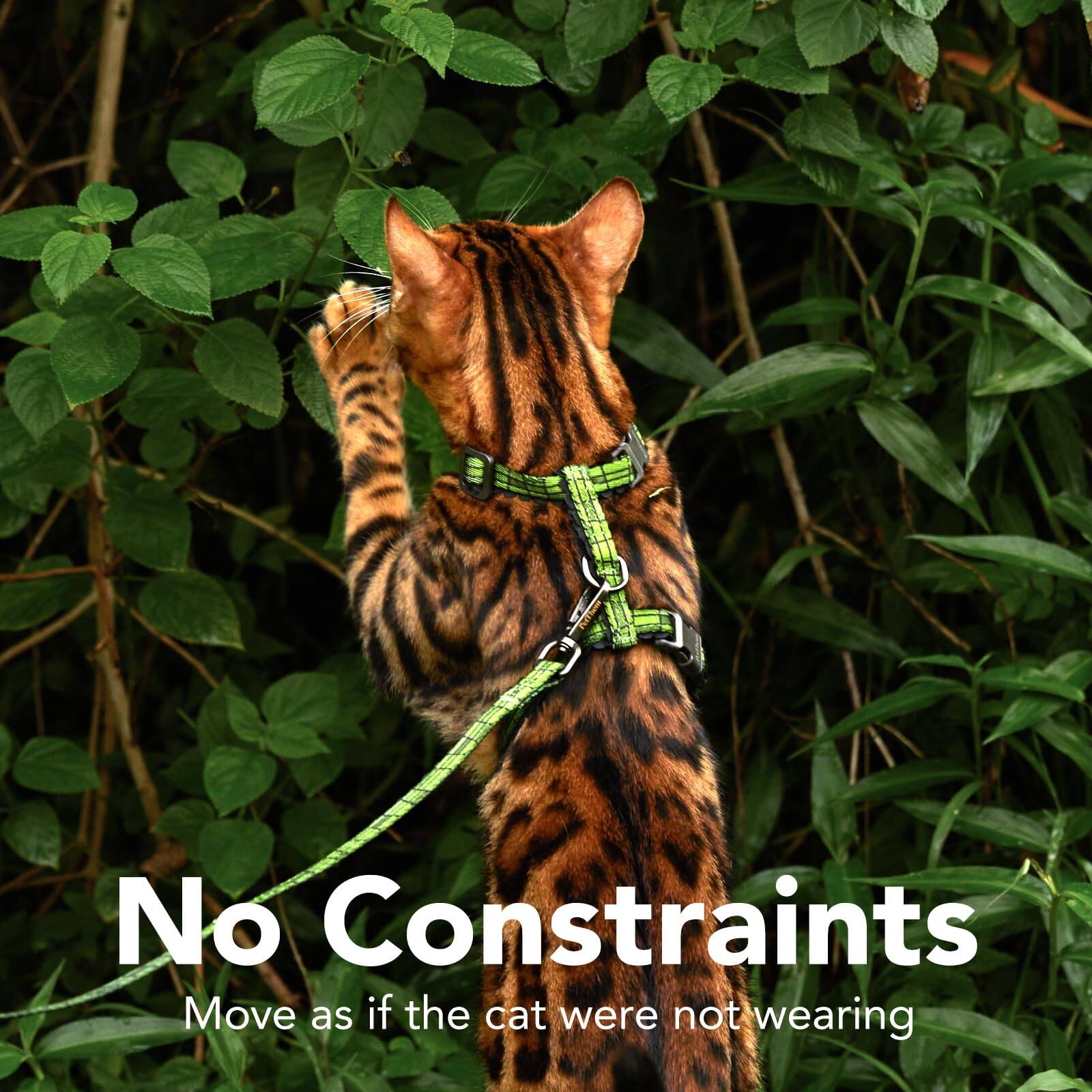 No Constraints  
Move as if the cat were not wearing