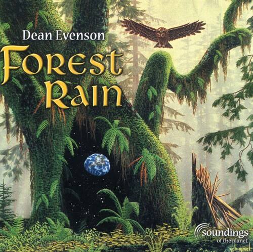 Dean Evenson - Forest Rain   - COMPACT DISCS [CD] price history on PriceWatchPro