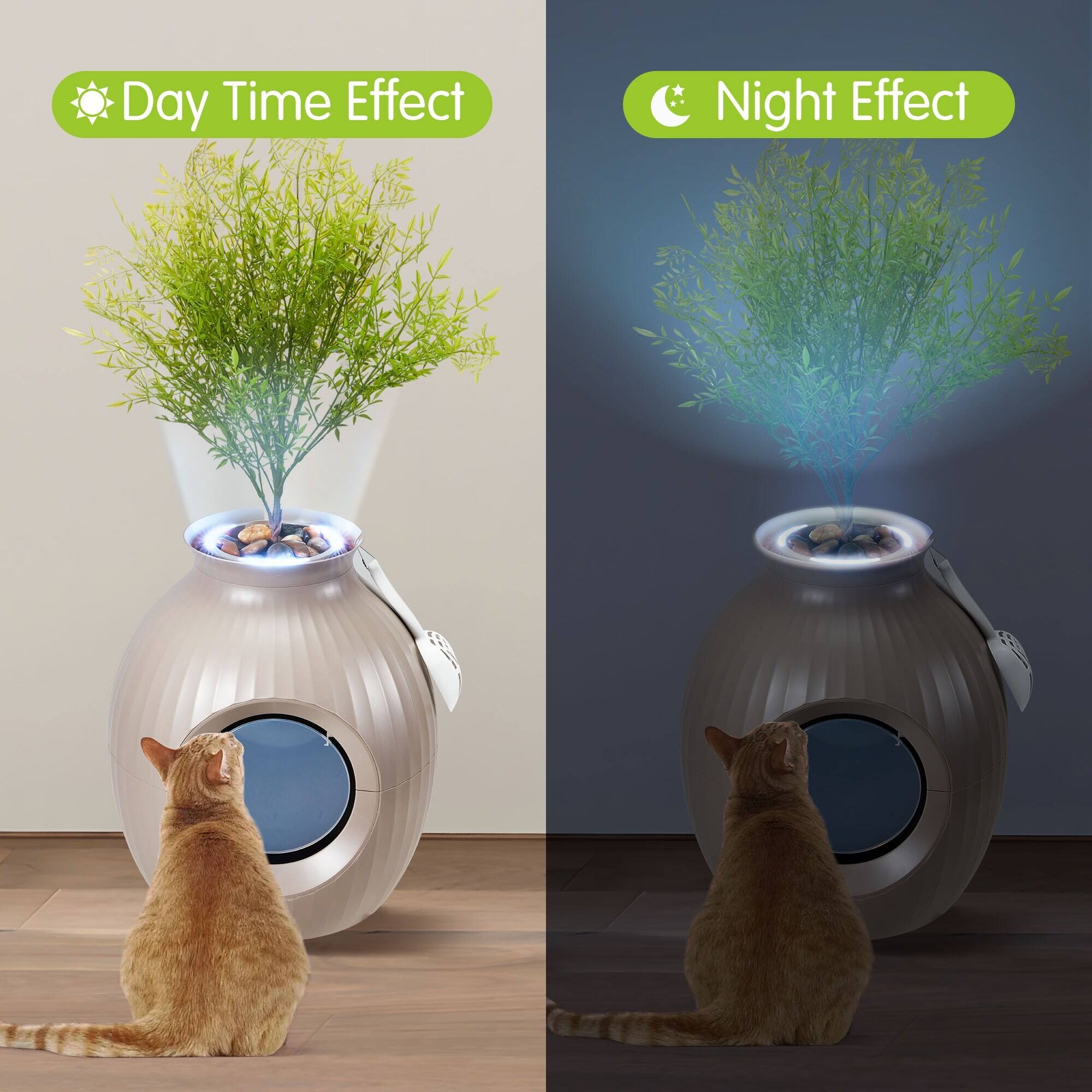 Day Time Effect  
Night Effect