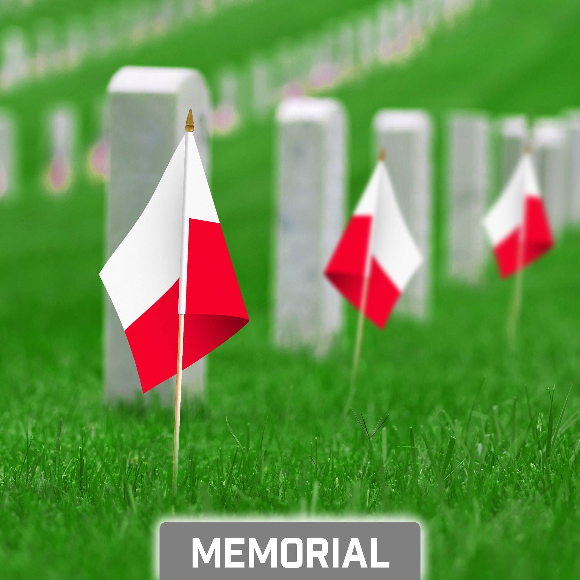 Back. G128 - 30-Pack Handheld Poland Stick Flags, 8 x 12 in, 150D Polyester with Wooden Stick and Gold Spear Tip. - Assorted Colors.