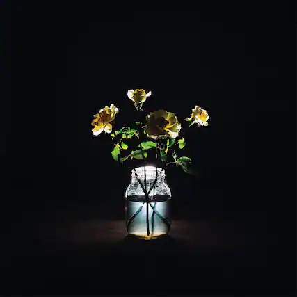 Front. Billy Strings - Renewal - VINYL LP.