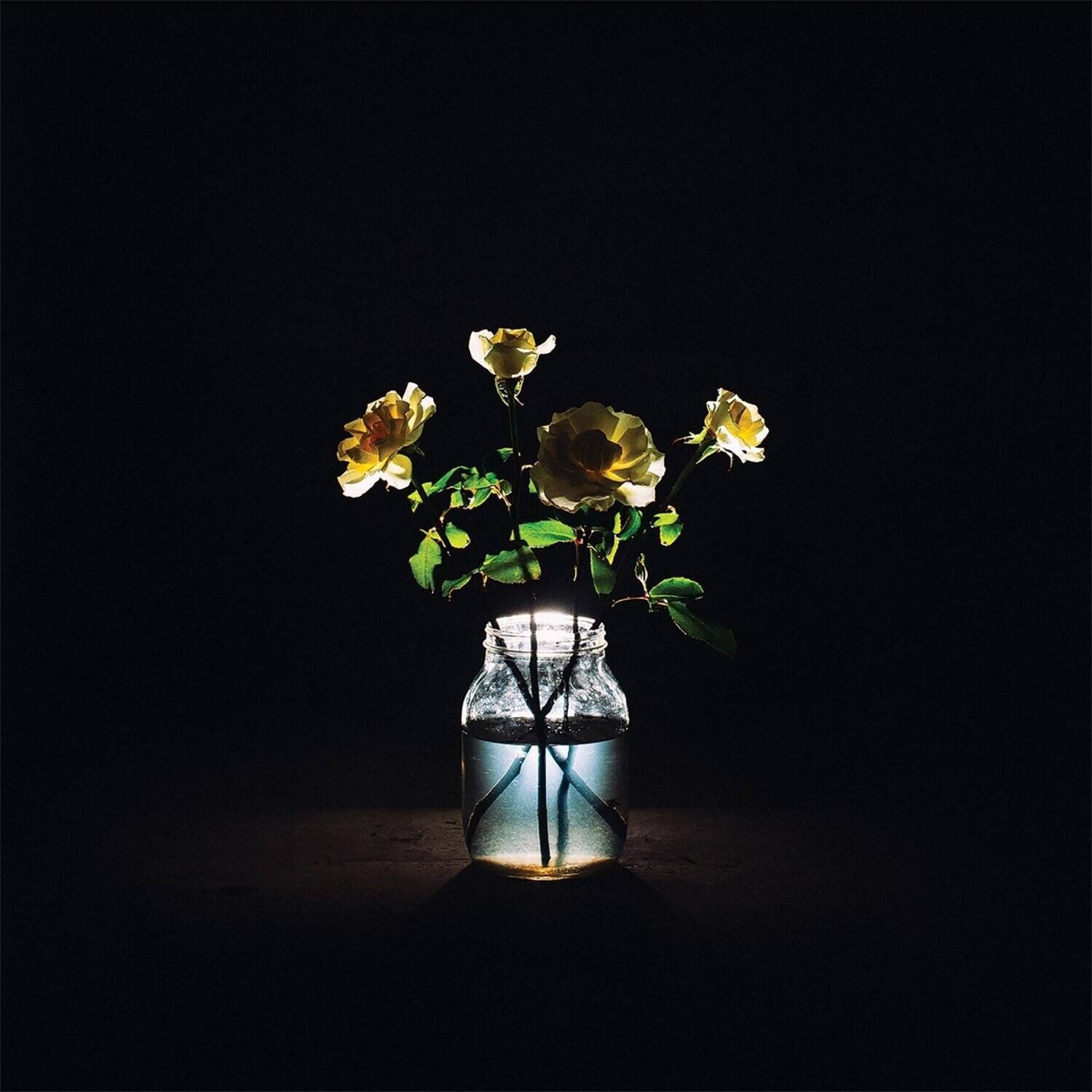 Billy Strings - Renewal   - VINYL LP