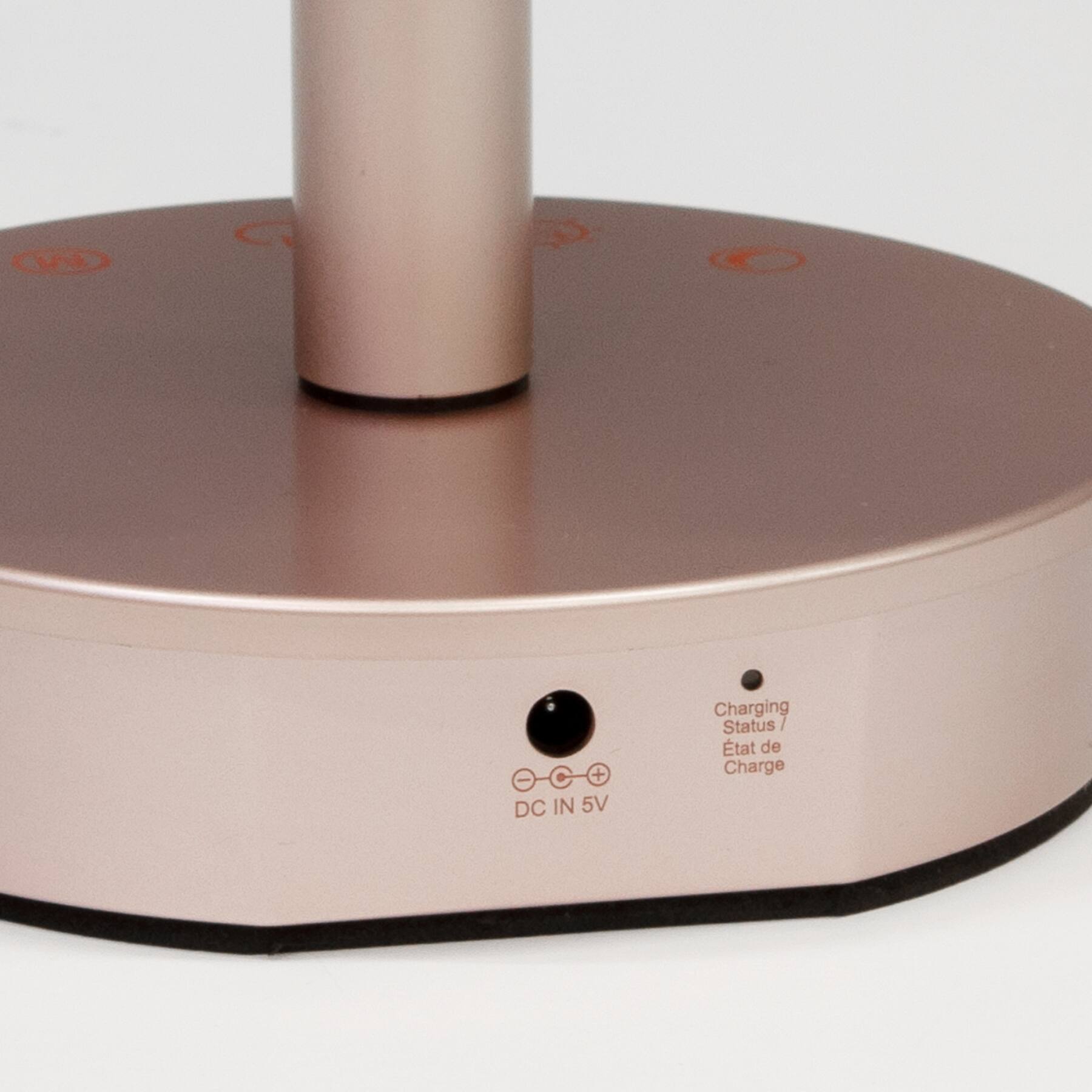 DC IN 5V  
Charging Status / État de Charge