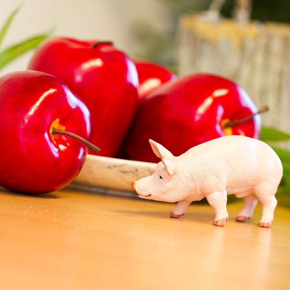 Angle. Safari Ltd. - Boar Toy Figurine.