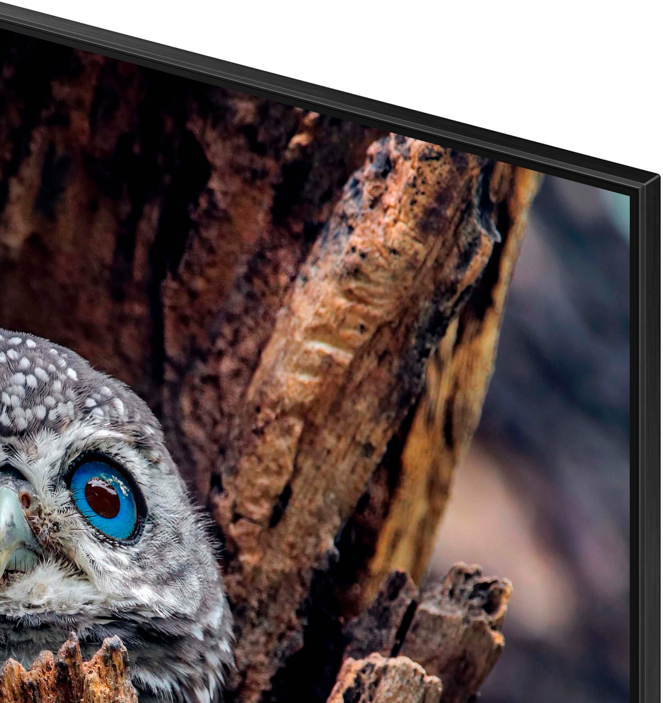 Alt View 14. Samsung - 55” Class Q80D Series QLED 4K Smart Tizen TV (2024) - Titan Black.