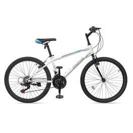Winado - 24 inch Mountain Bike for Women, Sport Cycling MTB Bicycle 21 Speeds - White