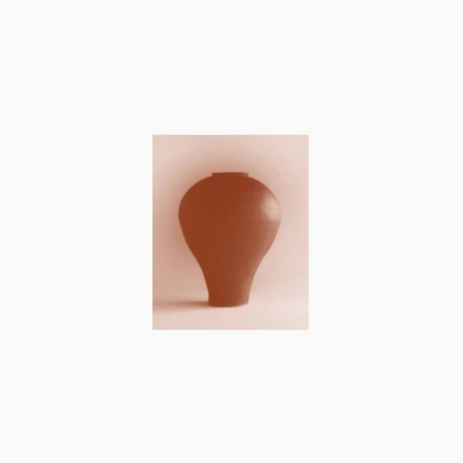 Beatriz Ferreyra - A Distracted Godc   - VINYL LP price history on PriceWatchPro