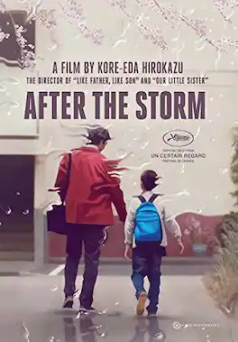 After the Storm - DVD