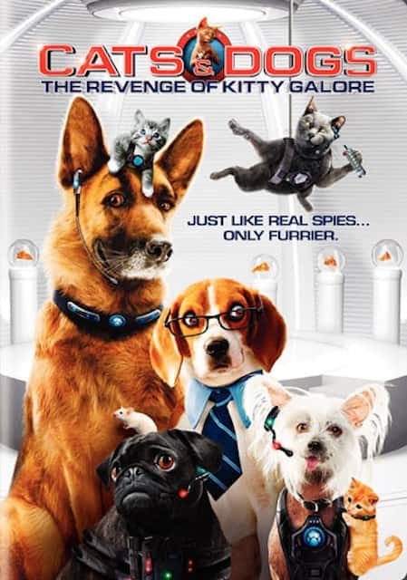 Cats Dogs The Revenge Of Kitty Galore Dvd 2010 Best Buy