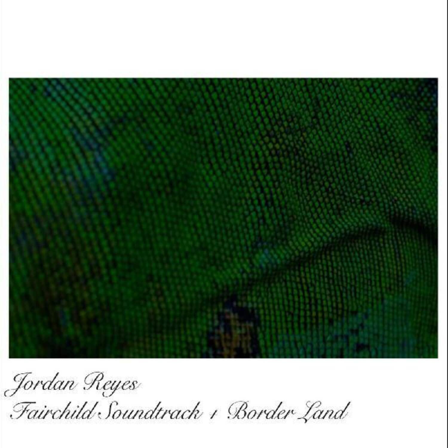Jordan Reyes - Fairchild Ost / Borderland   - VINYL LP price history on PriceWatchPro