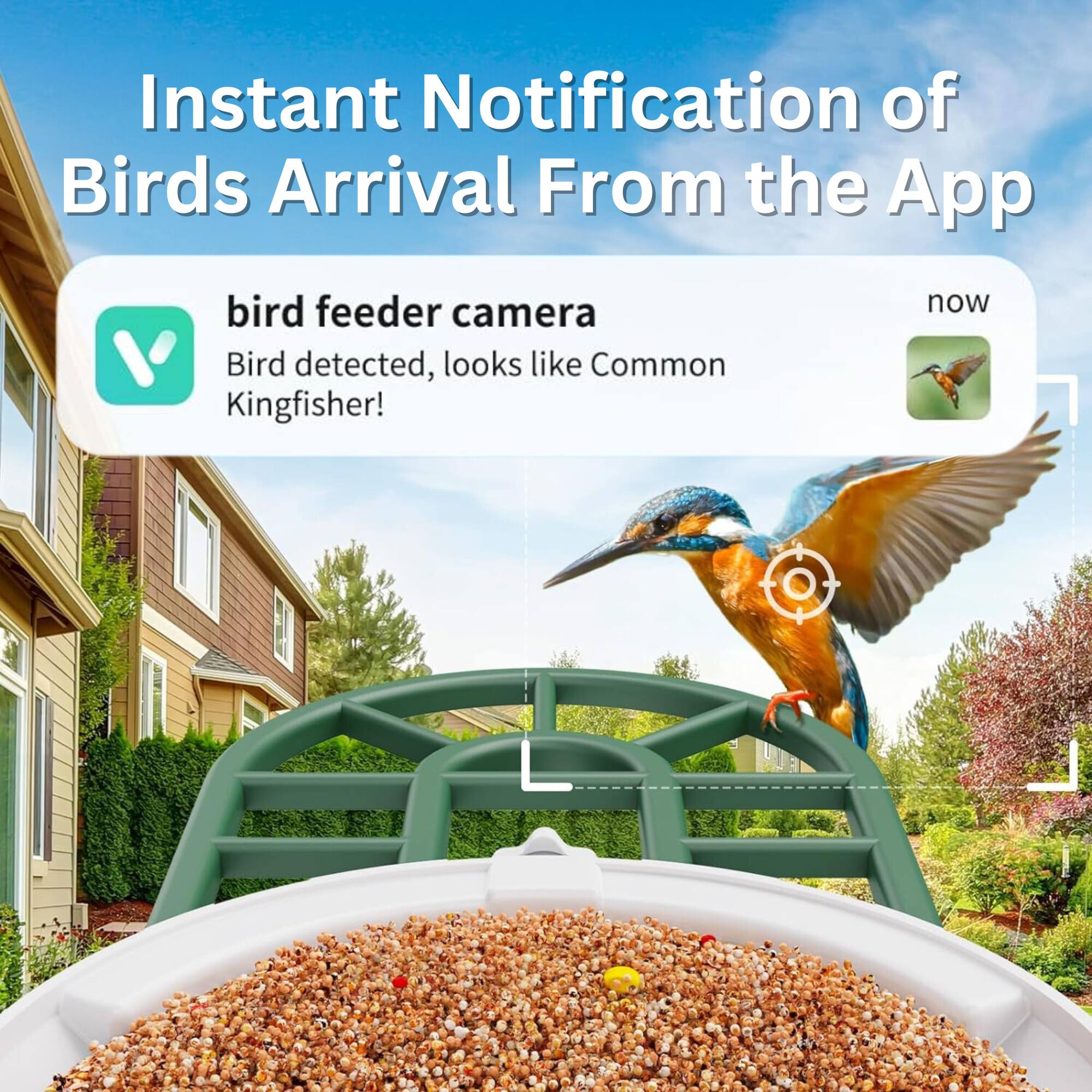 Instant Notification of Birds Arrival From the App
bird feeder camera
Bird detected, looks like Common Kingfisher!
now