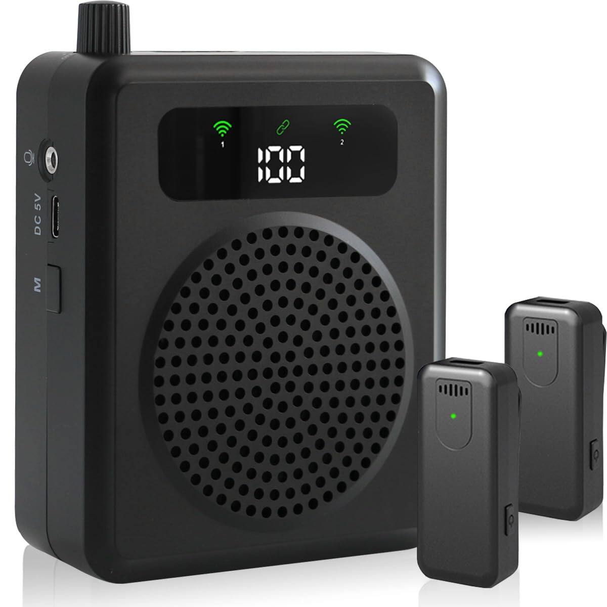 Earthley Blooms - Wireless Voice Amplifier With Lavalier Microphones Portable Microphone Mini Megaphone Clip On lapel Mic - Default