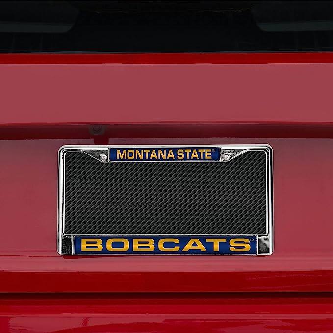 MONTANA STATE  
BOBCATS