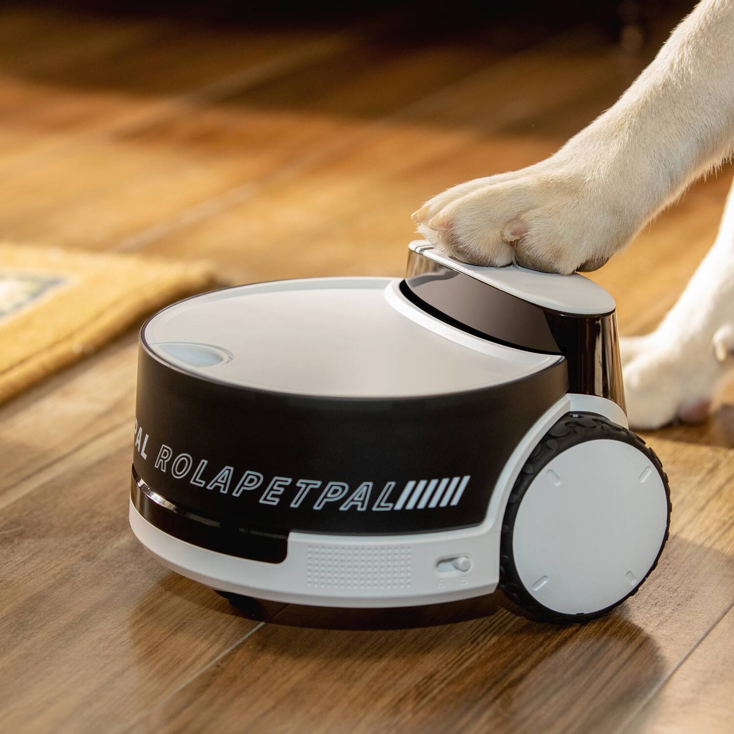 Left. Enabot - Rola Petpal Moving Pet Security And Companion Robot, With 2.5k Qhd Camera And 2-way Voice Communications - White.