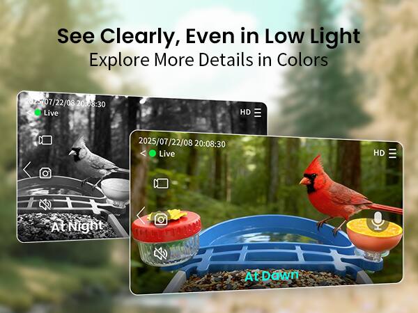 See Clearly, Even in Low Light  
Explore More Details in Colors  

2025/07/22/08 20:08:30 Live HD  
2025/07/22/08 20:08:30 Live HD  

At Night  
At Dawn