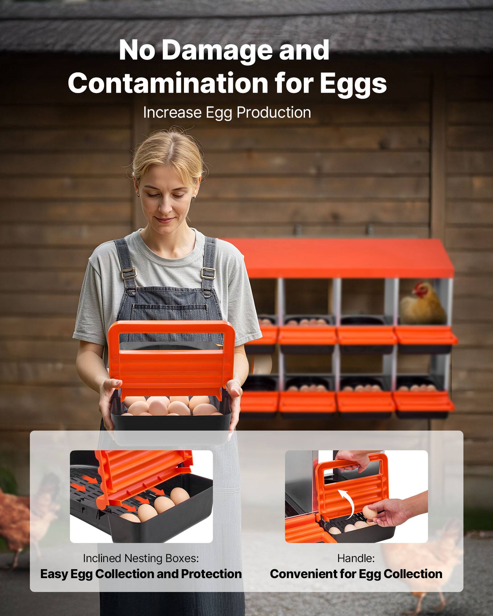 No Damage and Contamination for Eggs  
Increase Egg Production  

Inclined Nesting Boxes:  
Easy Egg Collection and Protection  

Handle:  
Convenient for Egg Collection