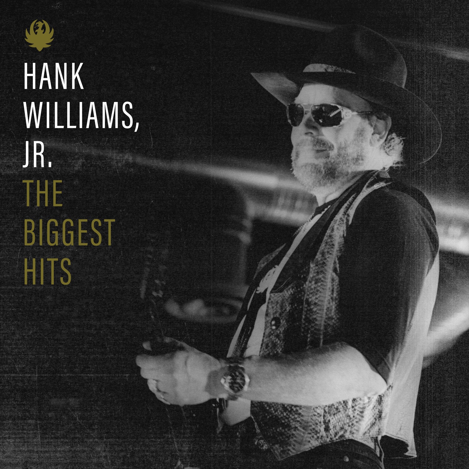 Hank Jr Williams - Biggest Hits Of Hank Williams, Jr.   - VINYL LP price history on PriceWatchPro