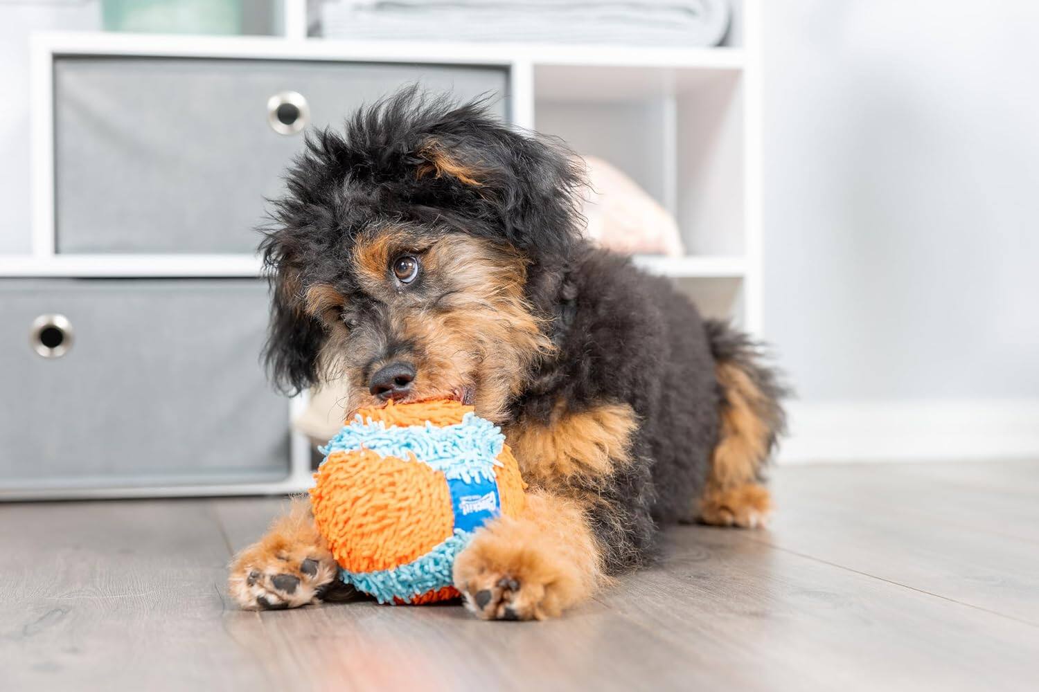 Back. ChuckIt! - Chuckit! Indoor Fetch Ball Dog Toy, 4.75in, Orange and Blue - Blue | Orange.
