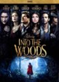 Front Standard. Into the Woods [DVD] [2014].