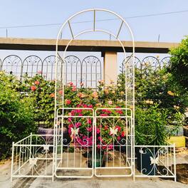 Loheer - 6.63 ft W x 7.22 ft H Metal Garden Arch with Gate Rose Trellis for Outdoor Garden - Creamy White