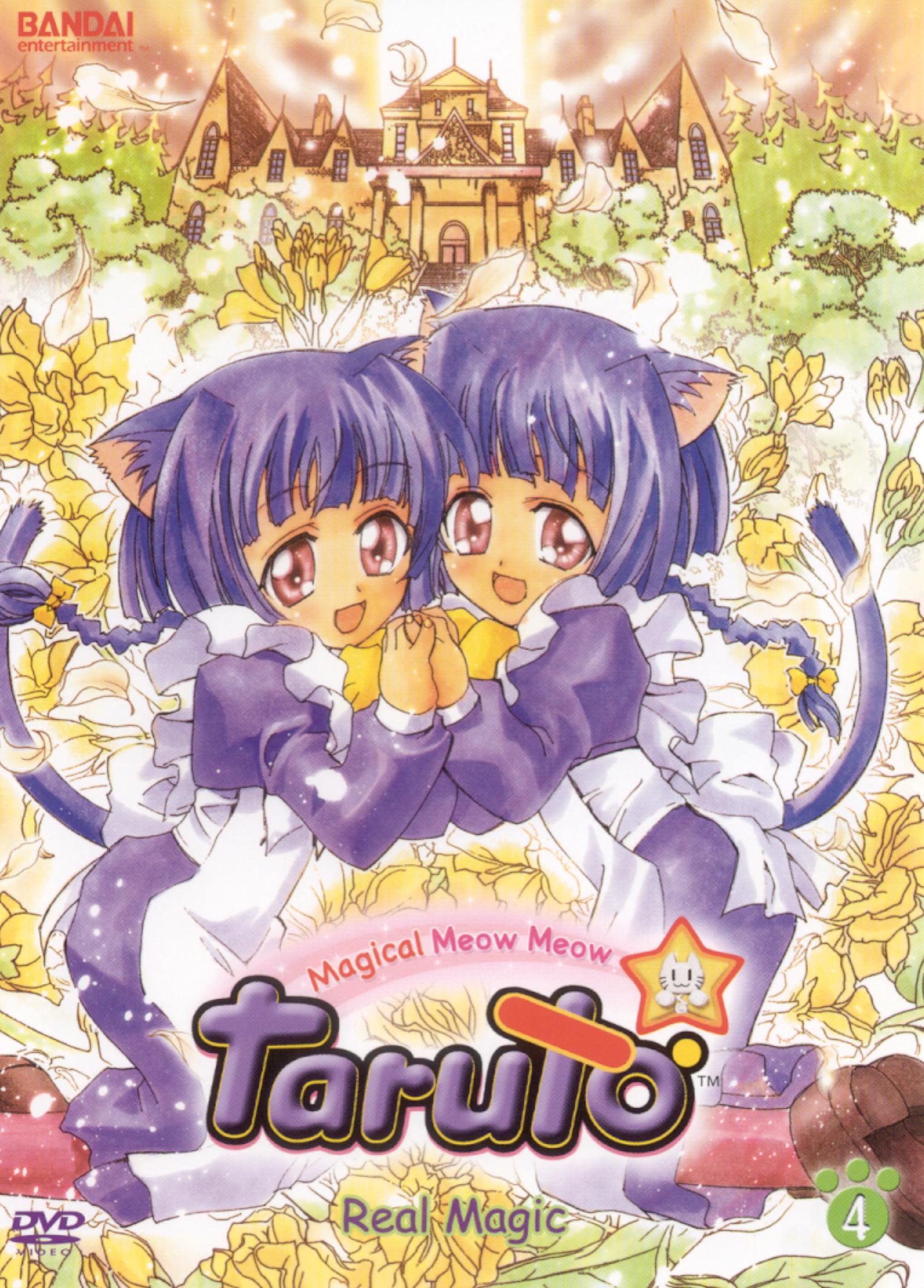 Magical meow meow taruto