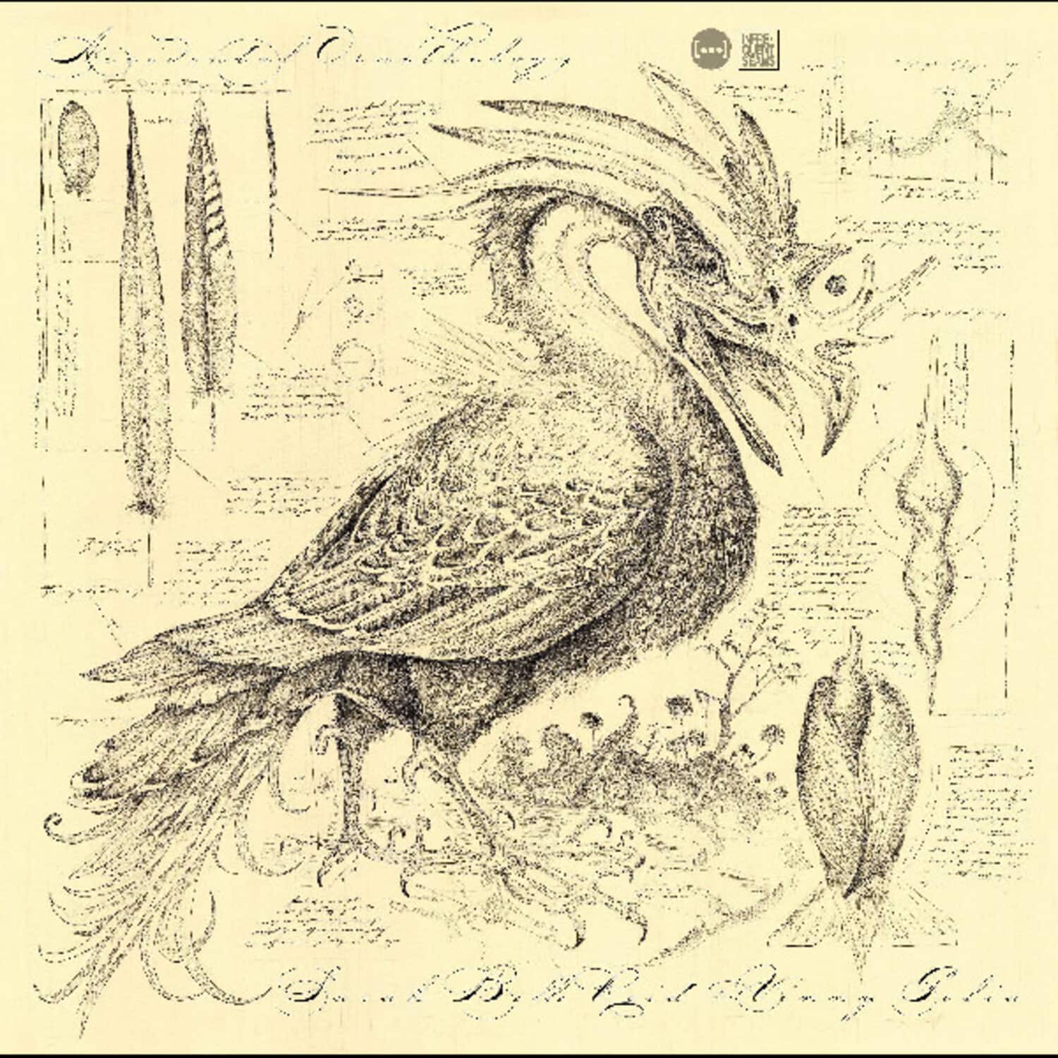 Sarah Belle Reid - Accidental Ornithology   - COMPACT DISCS [CD] price history on PriceWatchPro