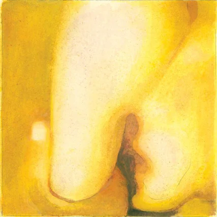 Front. Smashing Pumpkins - Pisces Iscariot - VINYL LP.