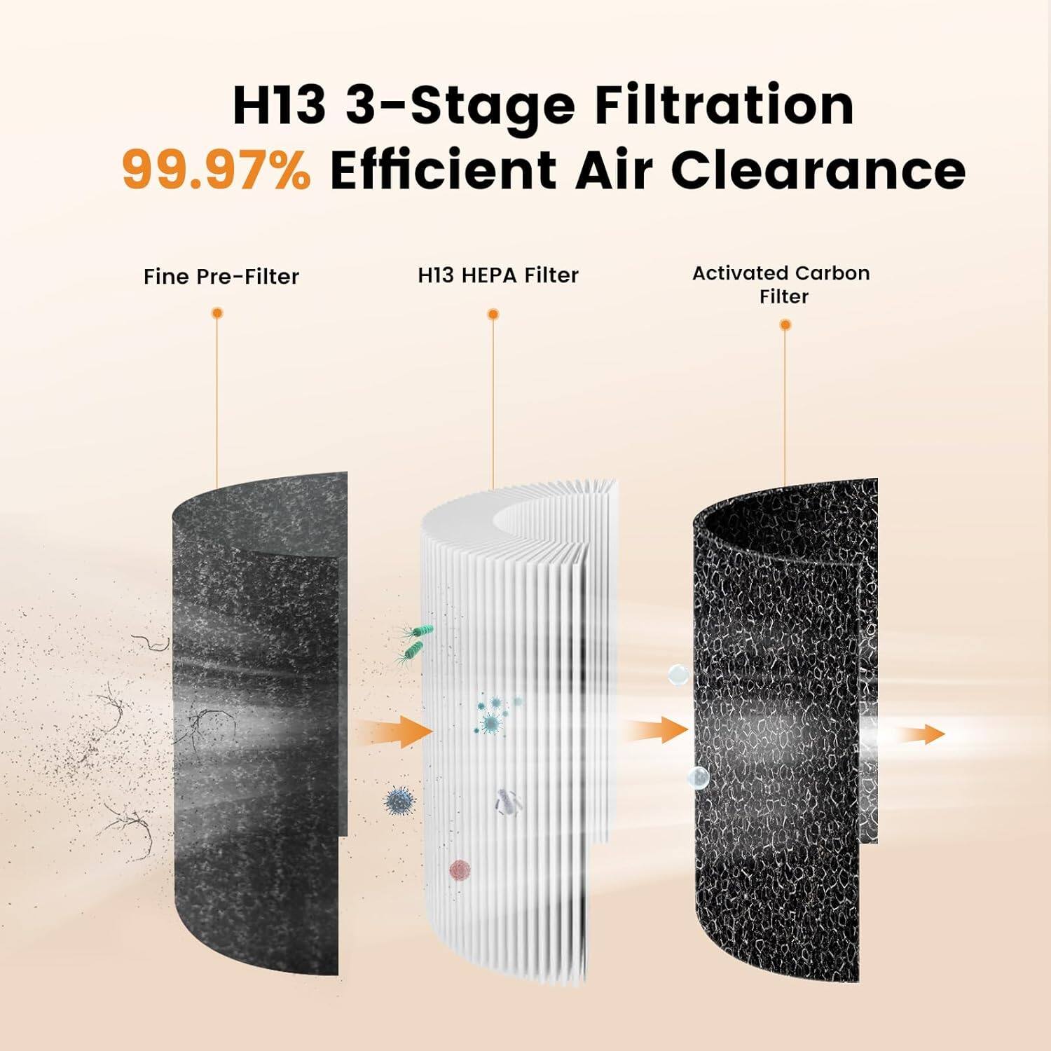 H13 3-Stage Filtration  
99.97% Efficient Air Clearance  
Fine Pre-Filter  
H13 HEPA Filter  
Activated Carbon Filter