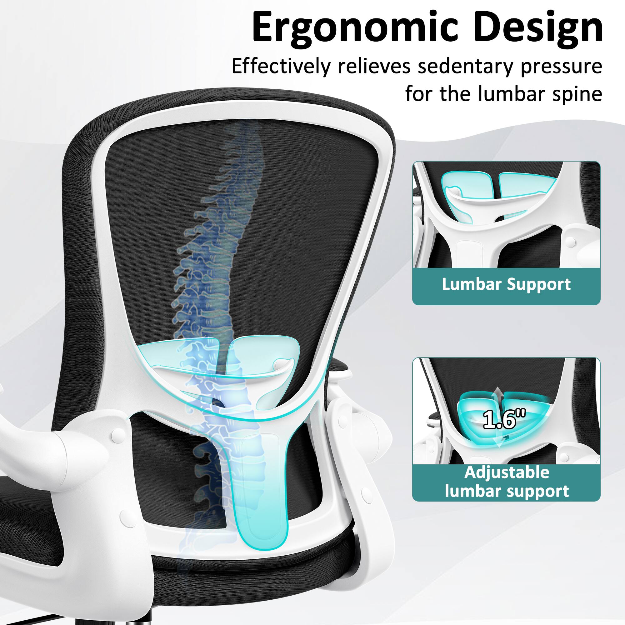 Ergonomic Design  
Effectively relieves sedentary pressure for the lumbar spine  

Lumbar Support  
1.6" Adjustable lumbar support
