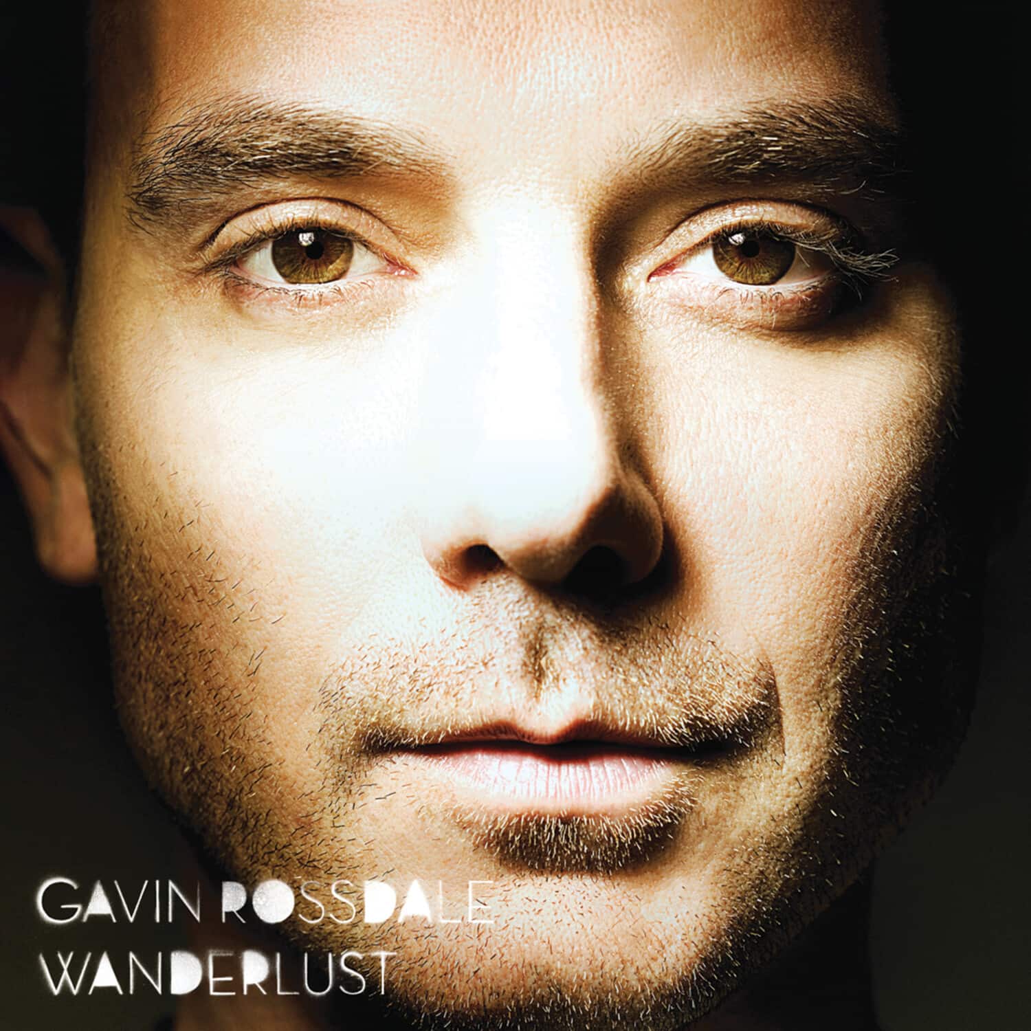 Gavin Rossdale - Wanderlust  - COMPACT DISCS