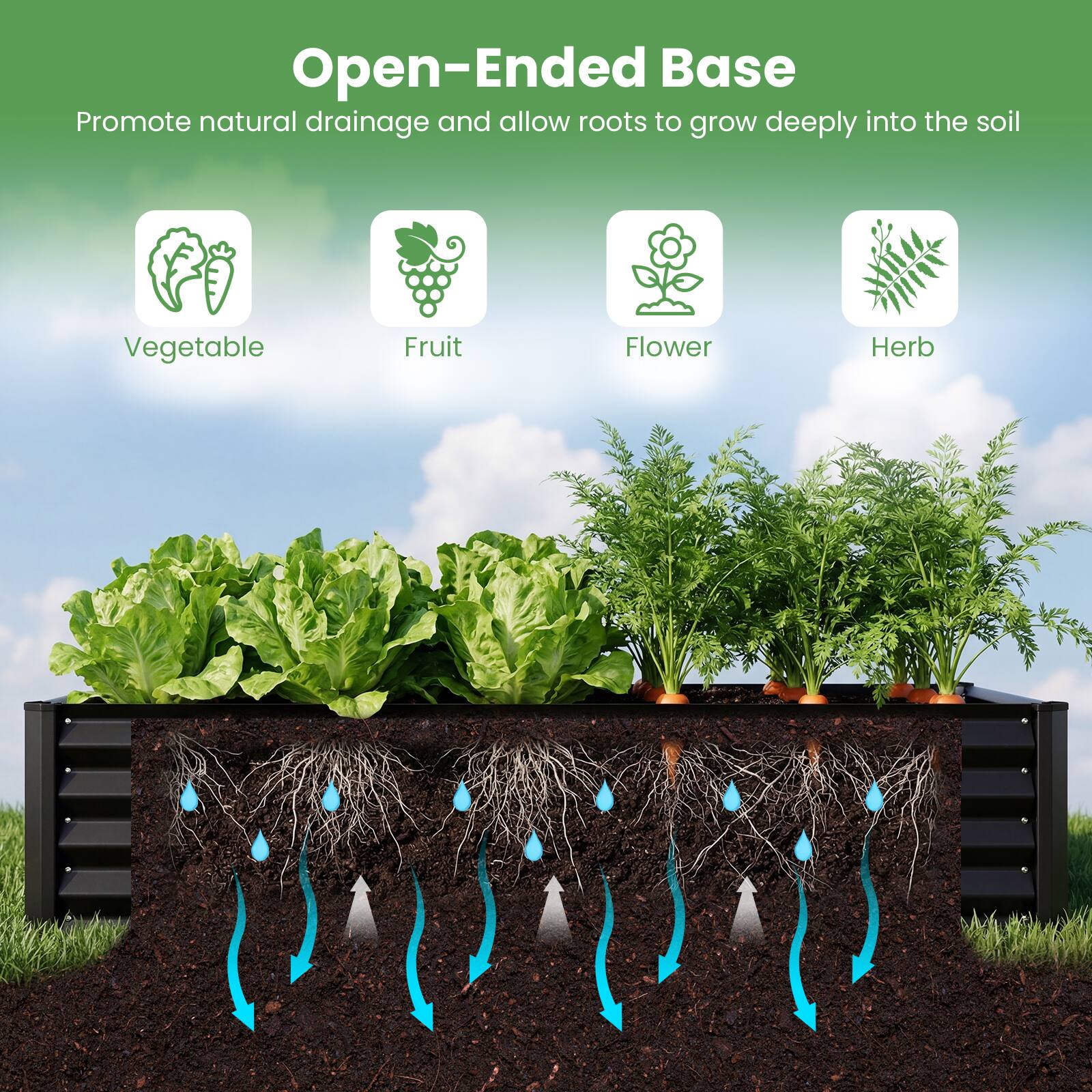 Open-Ended Base  
Promote natural drainage and allow roots to grow deeply into the soil  

- Vegetable  
- Fruit  
- Flower  
- Herb