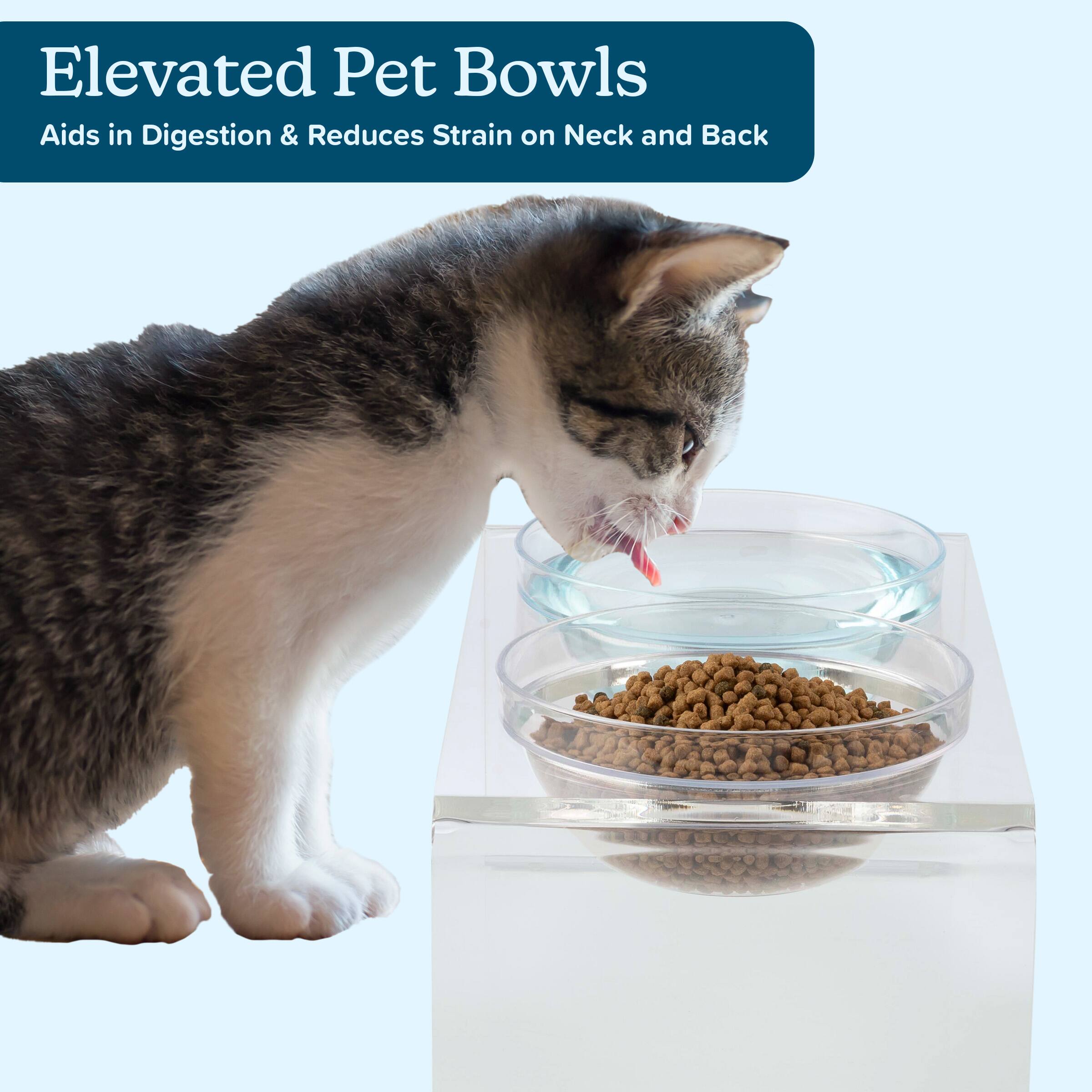 Elevated Pet Bowls  
Aids in Digestion & Reduces Strain on Neck and Back