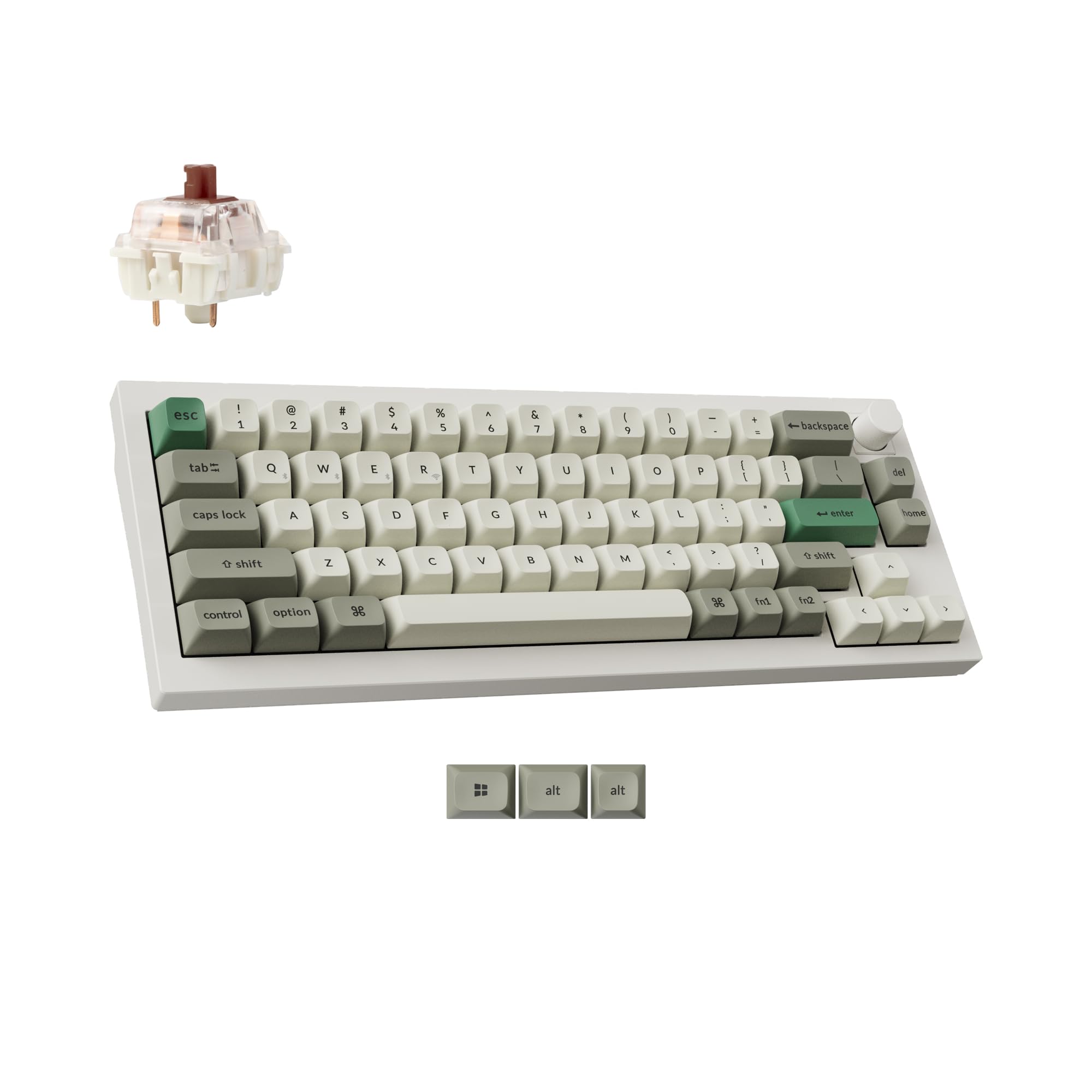 Gateron Jupiter Brown Switch-White