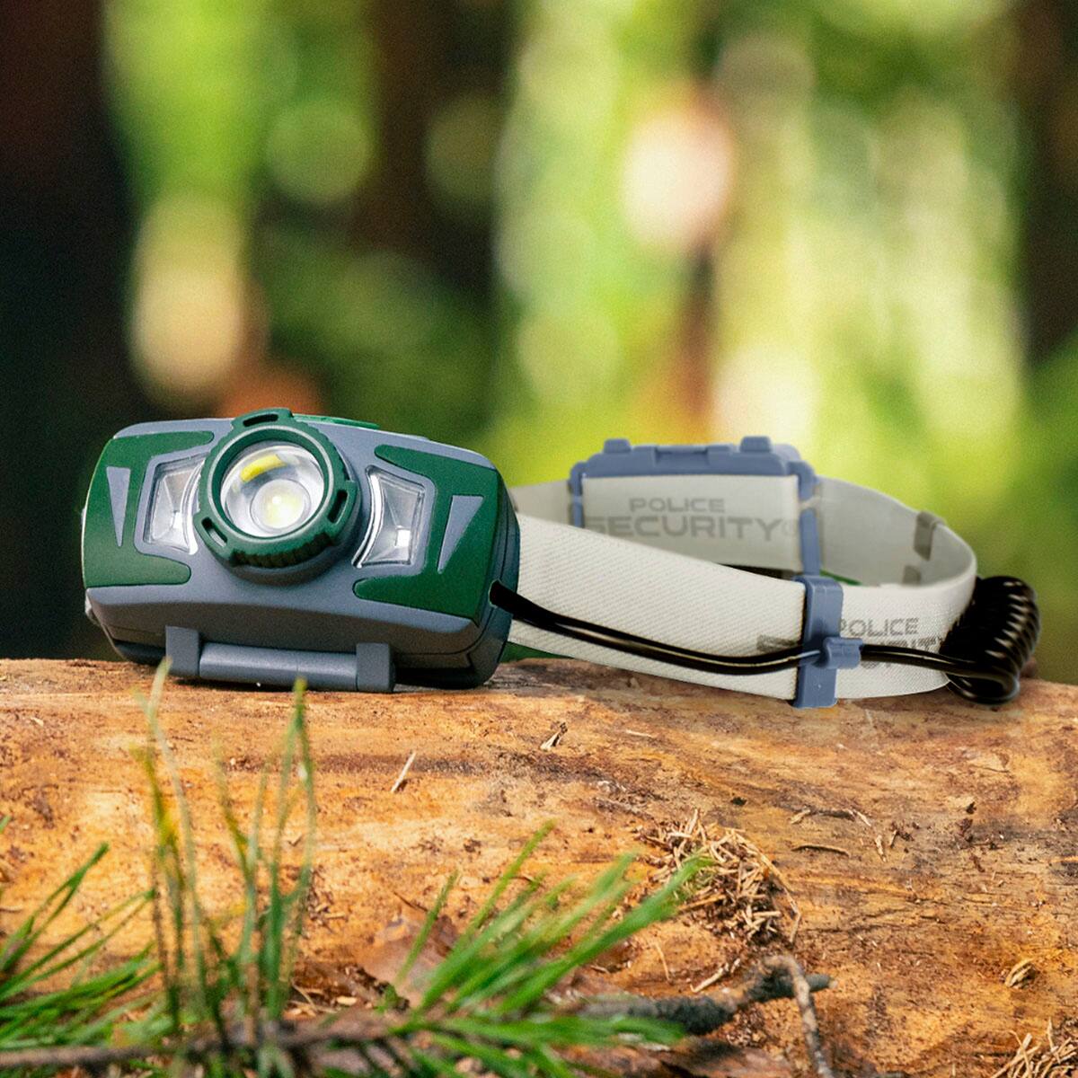 POLICE SECURITY POLICE