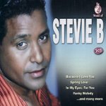Front Standard. The World of Stevie B [CD].