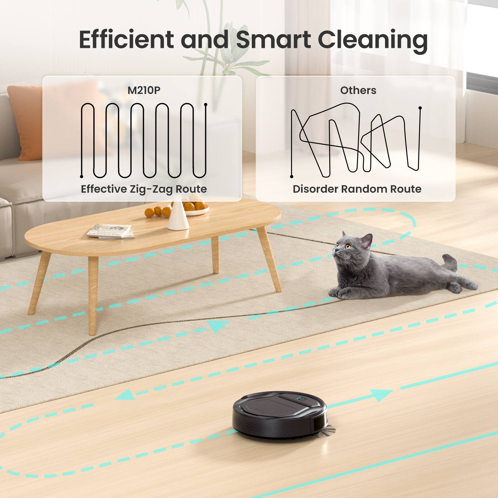 Efficient and Smart Cleaning

M210P

Effective Zig-Zag Route

Others

Disorder Random Route