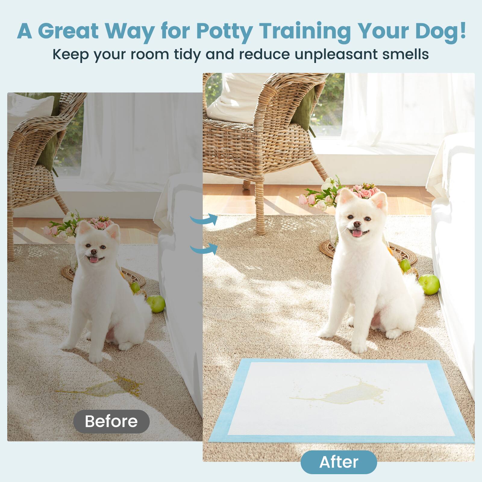 A Great Way for Potty Training Your Dog!  
Keep your room tidy and reduce unpleasant smells  

Before  
After