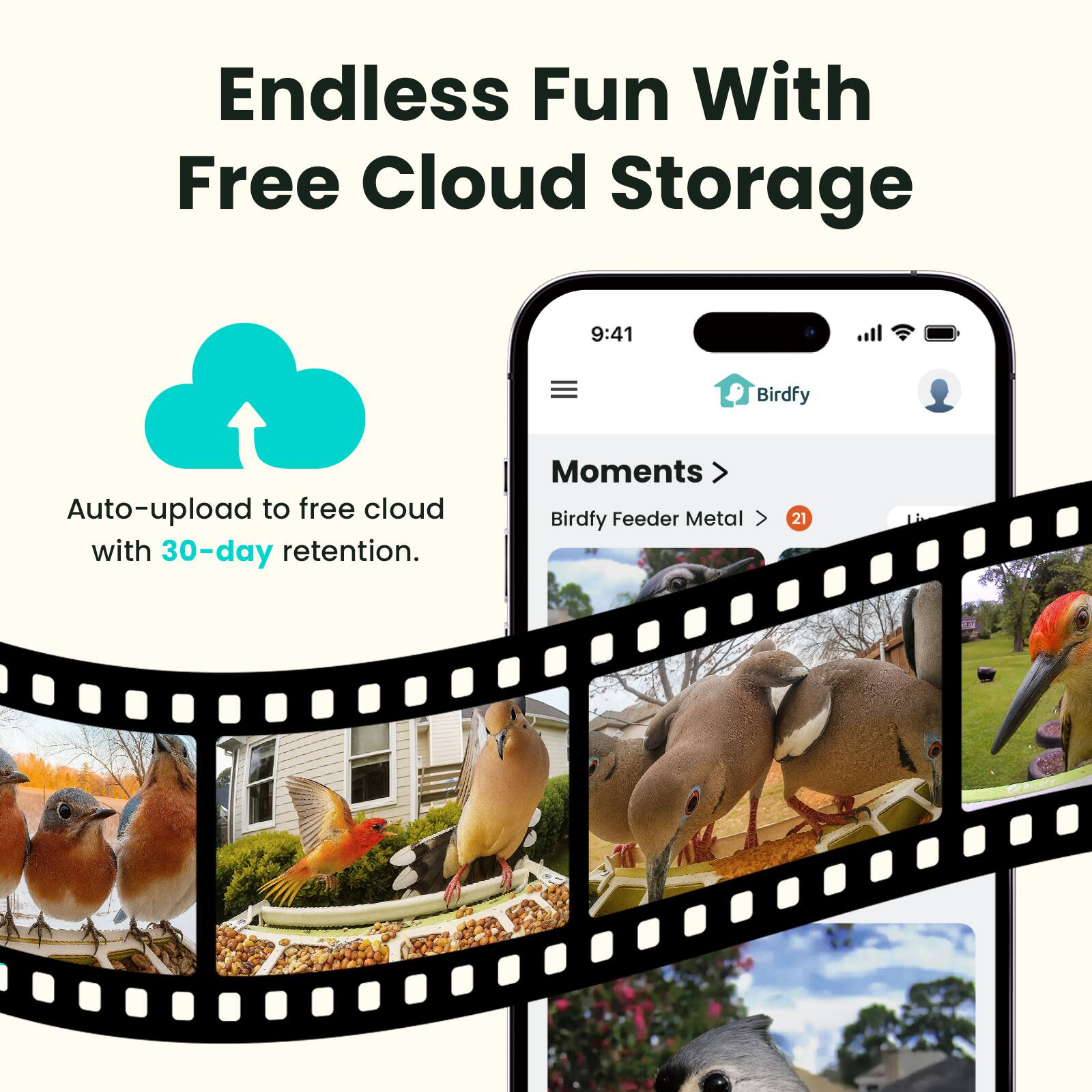 Endless Fun With Free Cloud Storage

Auto-upload to free cloud with 30-day retention.

9:41 Birdfy Auto-upload to free cloud with 30-day retention.

Moments > Birdfy Feeder Metal > 21