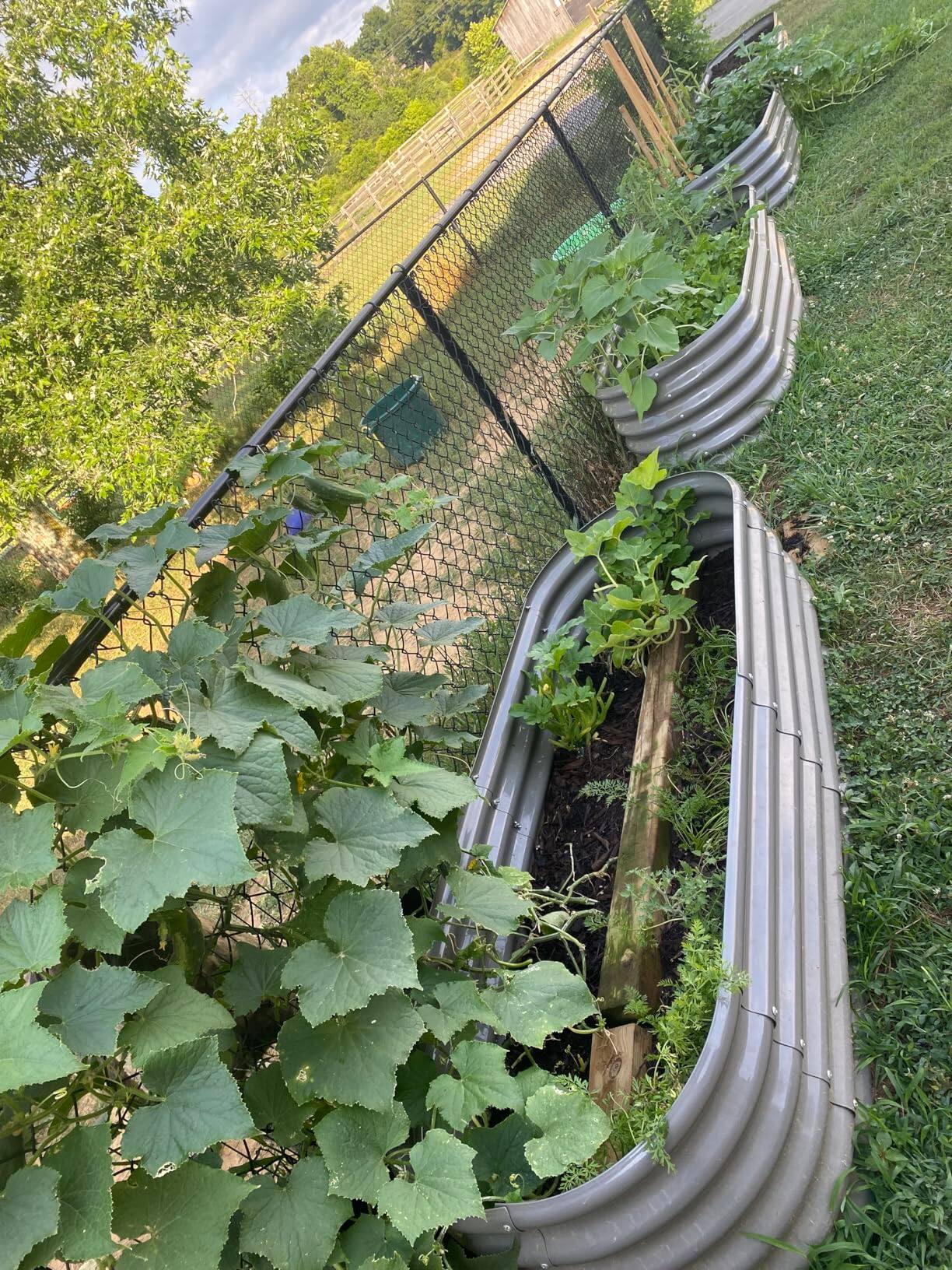 Back. A Anleolife - Metal Oval Raised Garden Bed Planter Box for Planting Vegetables Flowers Herb (72 in. L x 36 in. W x 24 in. H) - Gray.
