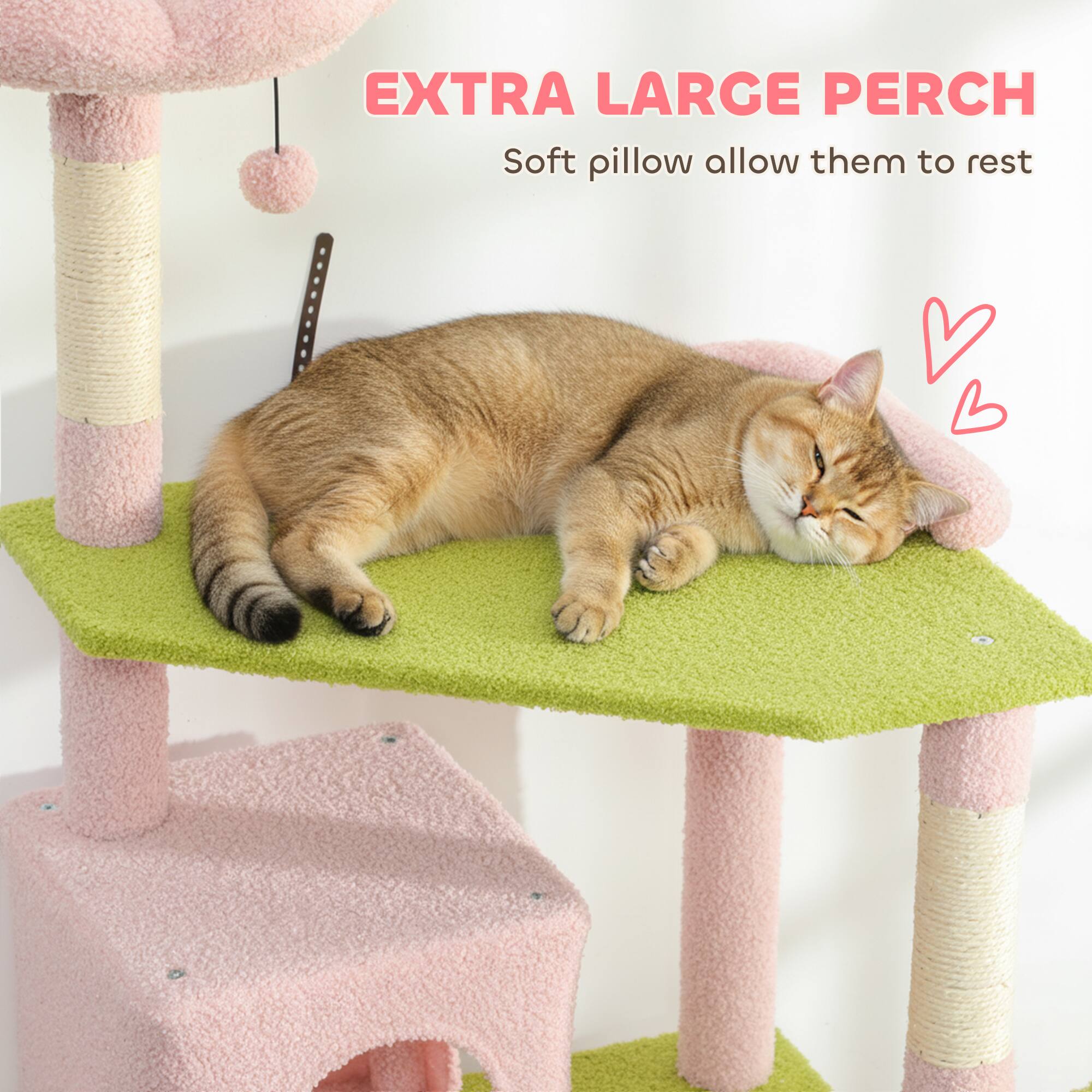 EXTRA LARGE PERCH  
Soft pillow allows them to rest
