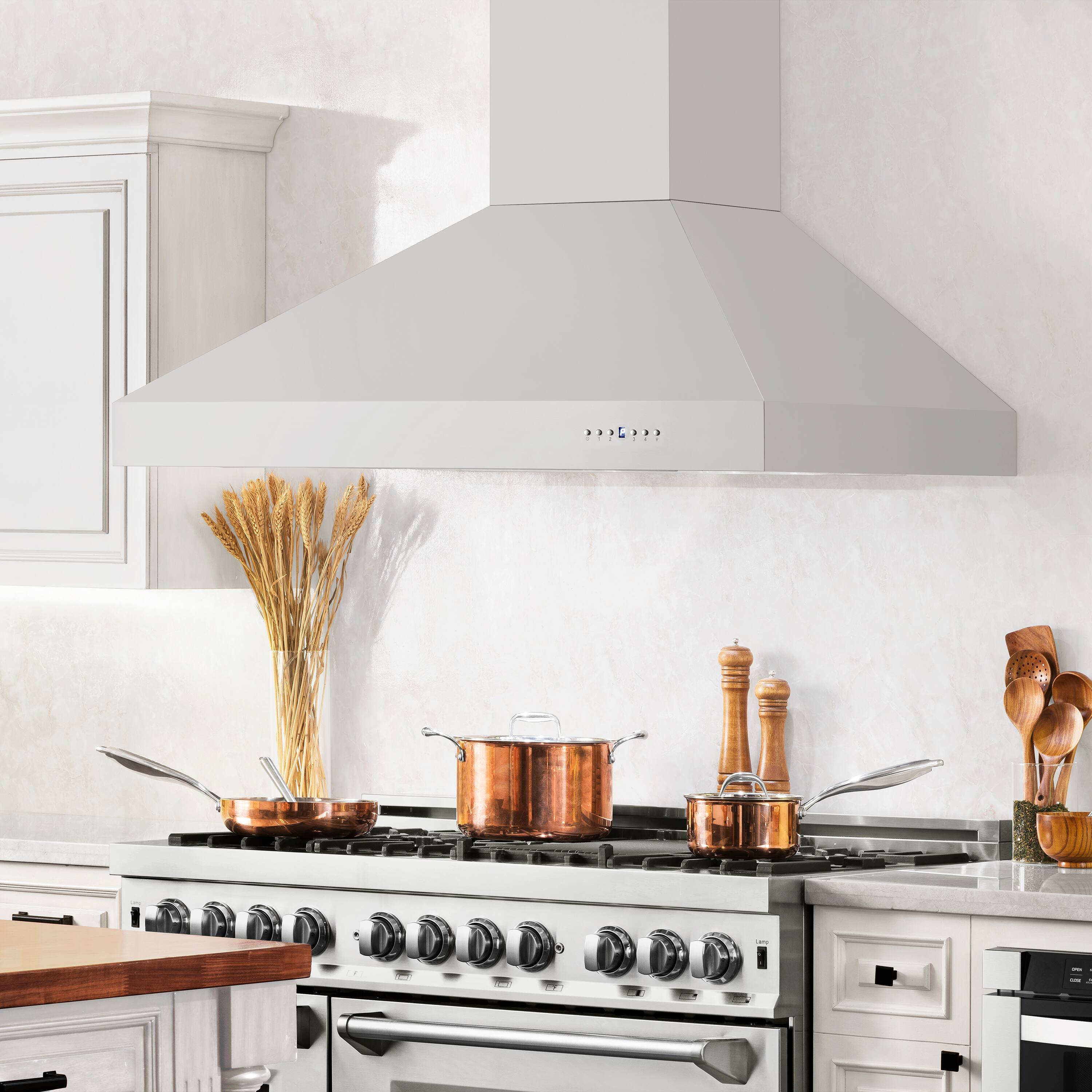 Alt View 4. ZLINE - ZLINE 48 in. Ducted Wall Mount Range Hood with Dual Remote Blower in Stainless Steel (697-RD-48) - Stainless Steel.